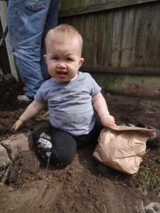 helping with the planting